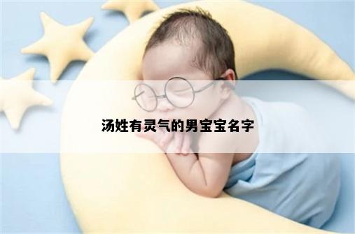 汤姓有灵气的男宝宝名字